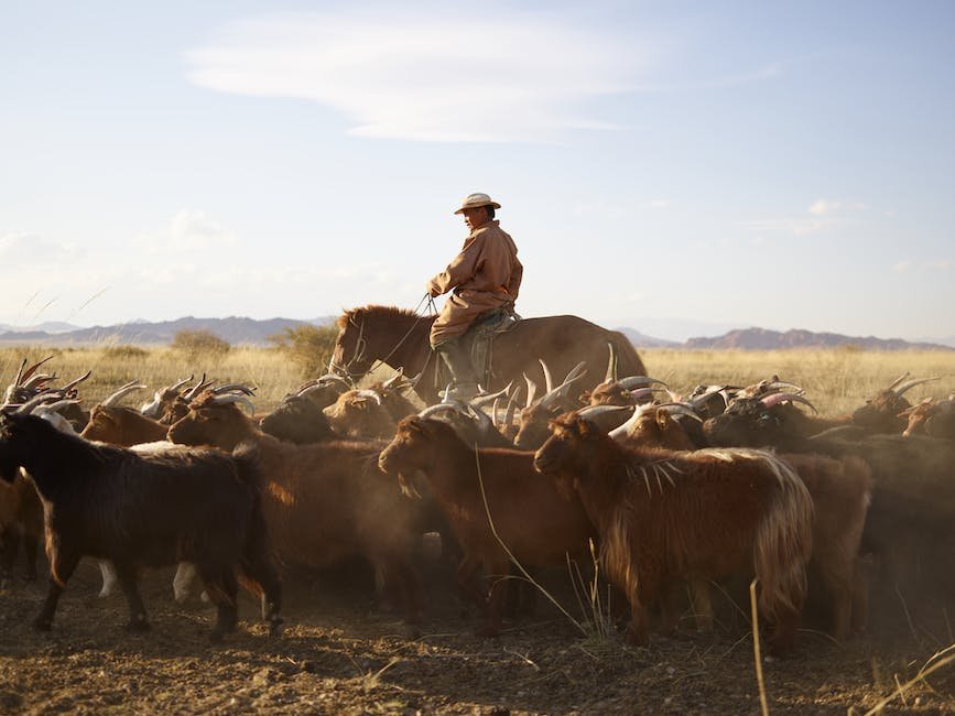 how far can you ride a horse in a day