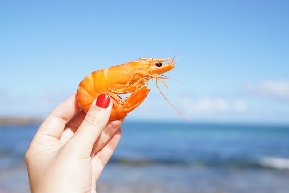 prawns vs shrimp vs crawfish