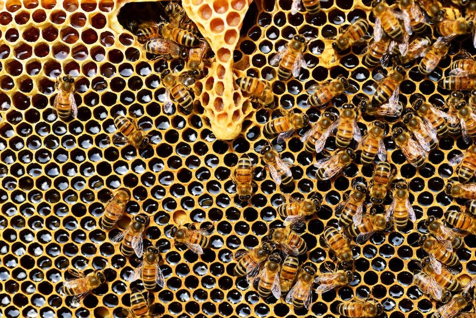 how to tighten your virginia with honey