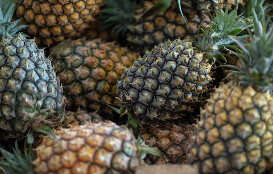 What Does Pineapples And Cranberries Mean?