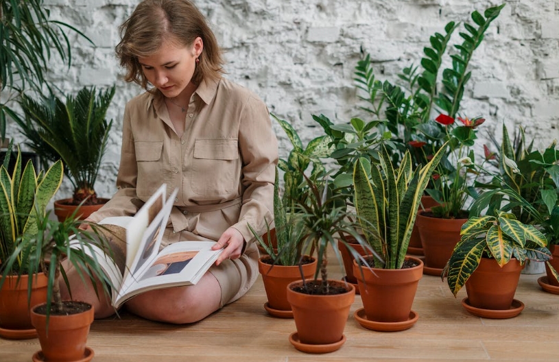 Guide to Indoor Gardening