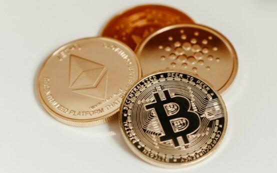 Privacy in Cryptocurrency
