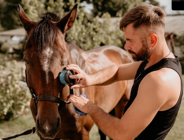 Horse Sense: The Essential Guide to Horse Care