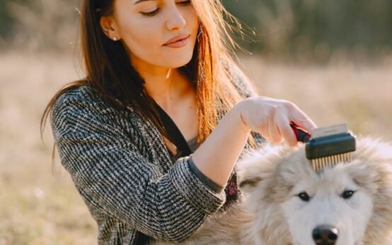 Pet Grooming Made Easy