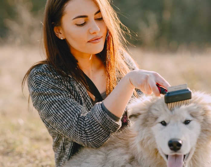 Groomed to Perfection: Pet Grooming Made Easy
