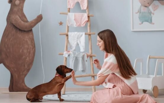 Pet Training Tips and Techniques
