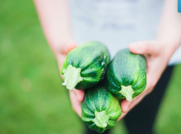 Growing Your Own: Tips for Starting a Vegetable Garden