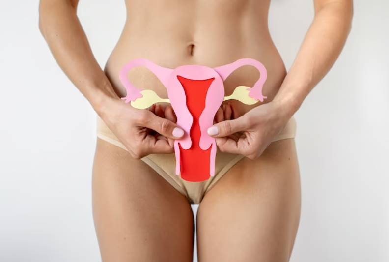 Fat Uterus Causes, Symptoms, and Treatment