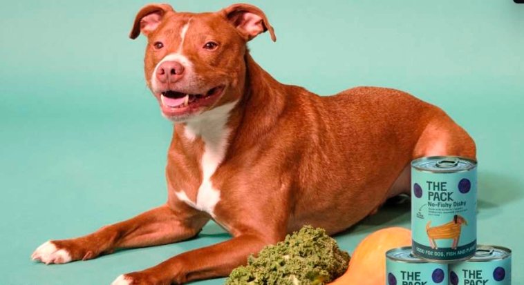 How vegan diets for pets could save the planet