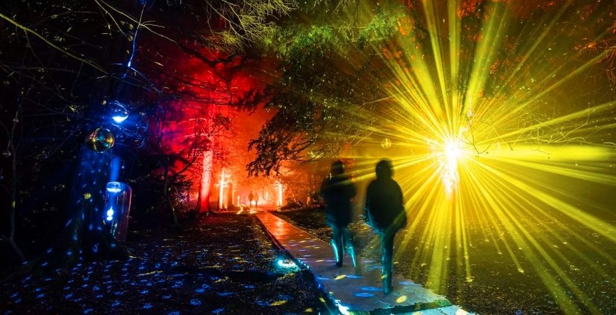 wondrous woods gosford house lighting show