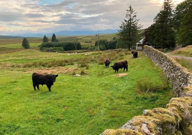 Scottish farmland sales soar amid high demand and low supply