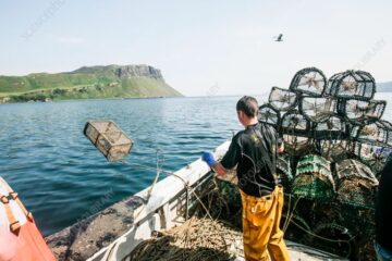 From the Sea to Success: The Scottish Fisherman’s Innovative Venture