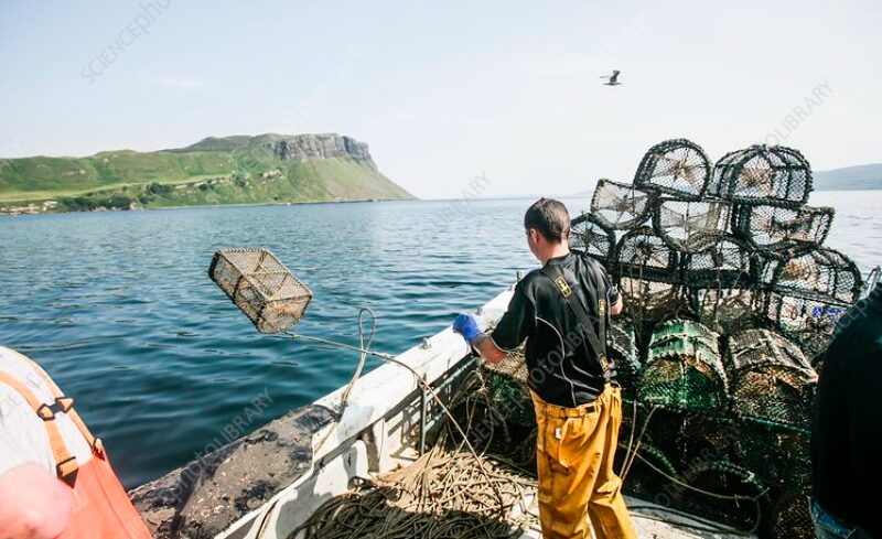 From the Sea to Success: The Scottish Fisherman’s Innovative Venture
