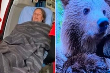 Scottish Tourist’s Narrow Escape from Bear Attack in Romania