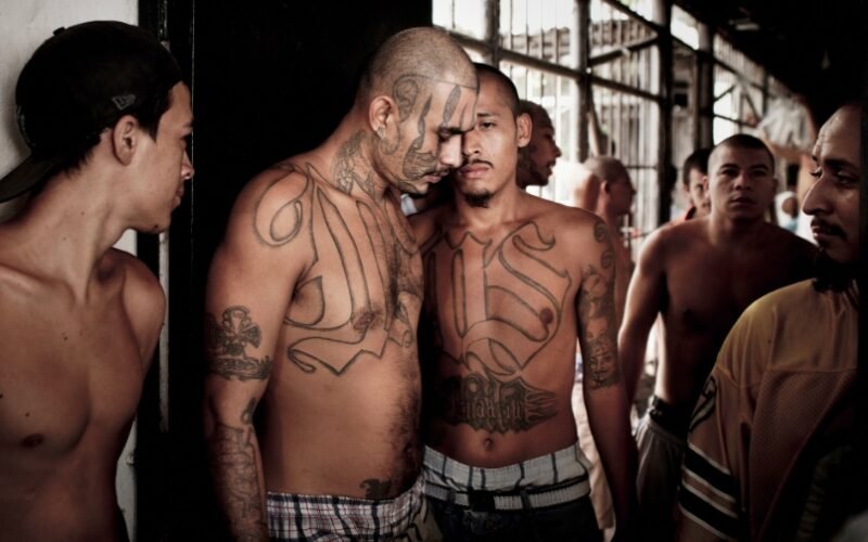 Super Gang Members Jailed for Reign of Terror: Shocking Crime Unveiled