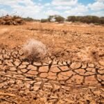 Scottish Sectors Warned of Doubling Drought Events by 2050