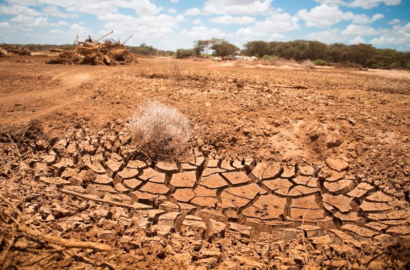 Scottish Sectors Warned of Doubling Drought Events by 2050