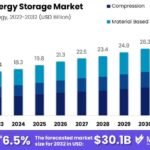 hydrogen energy company growth plans future