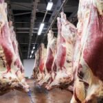 meat the market workshops Scottish farmers livestock grading