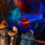 monteviot lights winter trail Scottish Borders