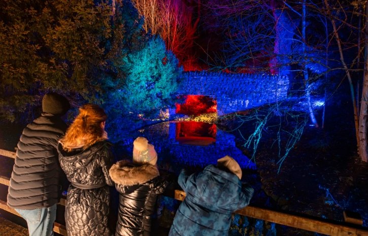 monteviot lights winter trail Scottish Borders