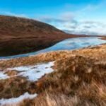 Conservationists Warn of Funding Struggles in Efforts to Protect Scotland’s Vital Ecosystems