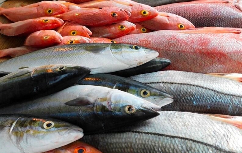 FACT CHECK: How Does Scotland’s Fish Farming Industry Work?