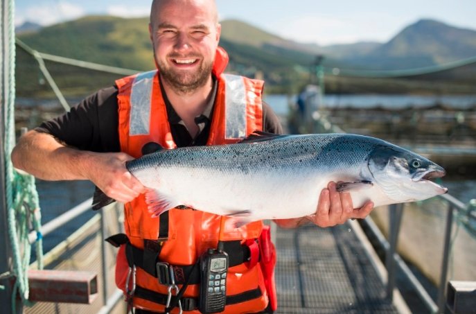 Andy Martin Mowi Scotland farm manager