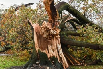 Last Red Weather Warning for Wind in Scotland Linked to Storm Arwen