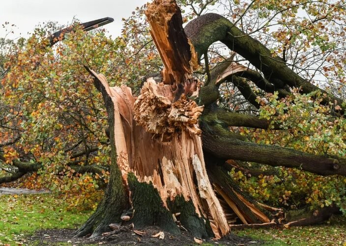 Last Red Weather Warning for Wind in Scotland Linked to Storm Arwen