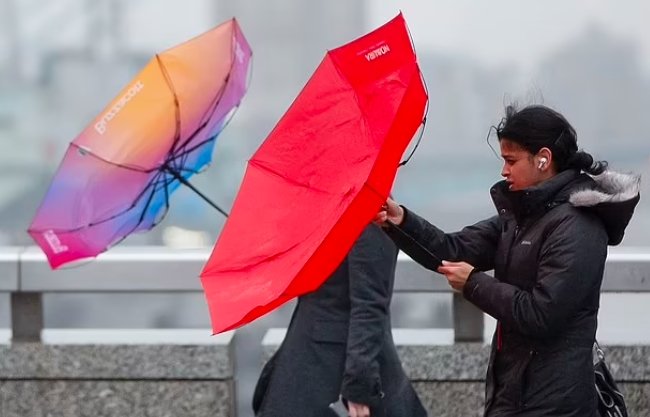 Storm Eowyn Scotland winds umbrella blown inside out