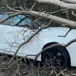 Storm Éowyn: Travel and Power Problems to Persist Across Scotland