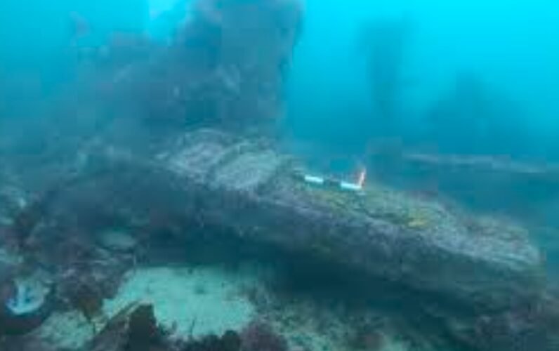 Divers Discover 1859 Shipwreck Off Scotland, Unearthing Sunken Treasure