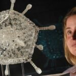 New Exhibition at National Museum of Scotland Explores COVID-19 Vaccine Effort