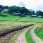 UK Government Teams Up with Scotland to Expand Rural Broadband Access