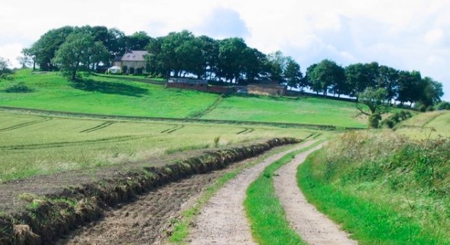 UK Government Teams Up with Scotland to Expand Rural Broadband Access