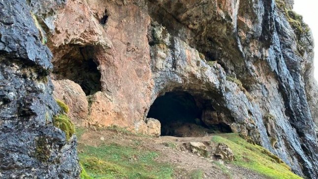 Scotland Bone Caves fossil discovery