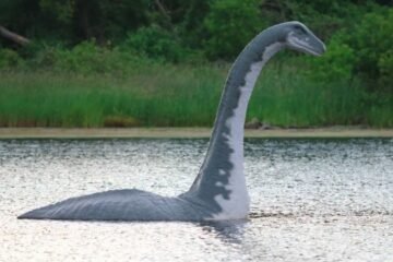 Loch Ness Monster Reported in Scotland, Marking First Sighting of 2025