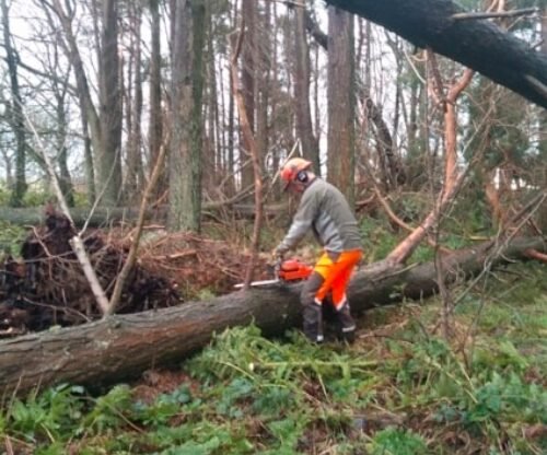 The Stunning Forest Walks and Adventure Trails in Scotland Still Closed Due to Storm Eowyn Damage