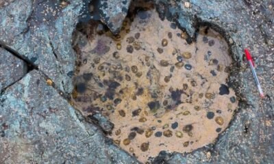 Unusual Dinosaur Tracks in Scotland Reveal an Ancient Watering Hole