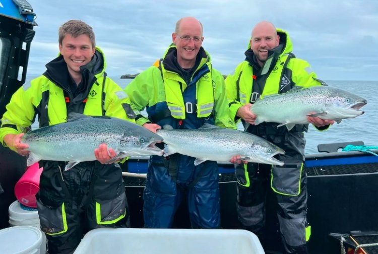 Mowi salmon farming Scotland 60th anniversary