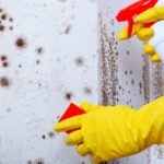 Why Nearly 100,000 Scottish Rental Homes Are Legally Unfit to Live In