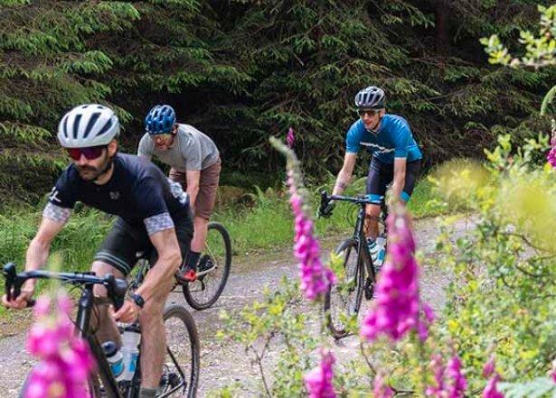Galloway Forest gravel biking, Gatehouse of Fleet cycling