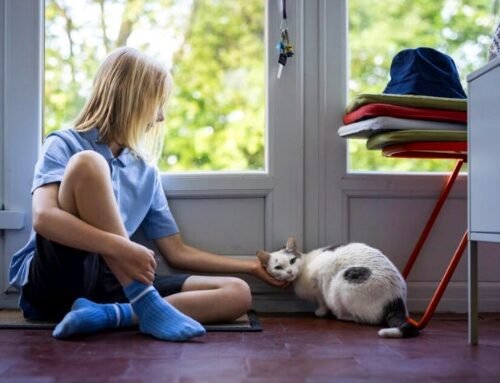 Glasgow’s Most Dedicated Pupil Is a Cat — And She’s Never Missed a Day