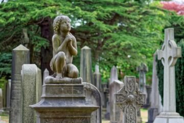 Ancestry Scotland: Inside the Life of a Genealogist Uncovering Centuries of Scottish Roots