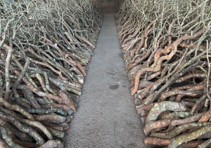 Andy Goldsworthy land art Scotland leaves stones nature