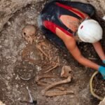 Ancient Wheel Unearthed in Scottish Highlands May Rewrite Iron Age History