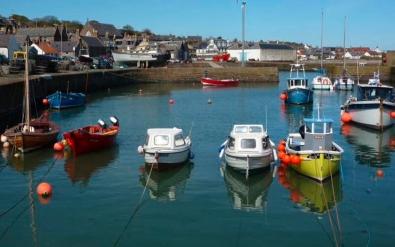 Scotland’s Tiny Johnshaven: The Fishing Village That Feeds Europe’s Top Restaurants