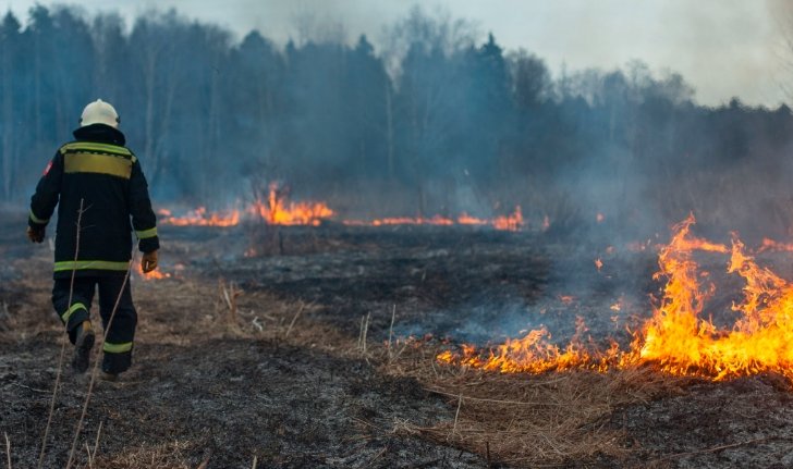 Parachute wildfire Colorado, Carrbridge Highland fire,