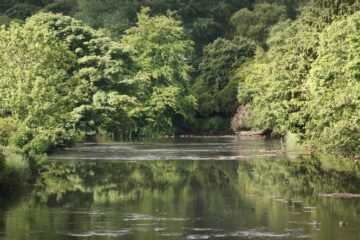 Tragedy Strikes as Four Die During Scotland’s Hottest Day in Two Years